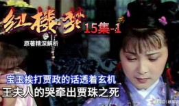 宝玉挨打视频,一场揭示封建家族悲剧的视觉冲击