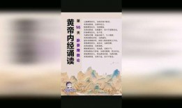 黄帝内经视频,中医养生之道揭秘